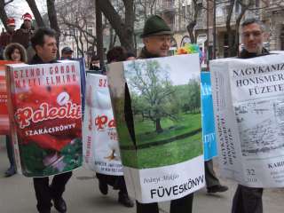 2013.02.09. Farsangi felvonulás 024.JPG 2013.02.09. Farsangi felvonulás 024.JPG