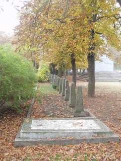 Baja, Déri kert 6.kép.jpg Baja, Déri kert 6.kép.jpg