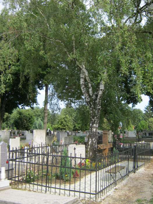 Nyíregyháza, Pazonyi tér, Északi temető: Jósa András 1.kép.jpg Nyíregyháza, Pazonyi tér, Északi temető: Jósa András 1.kép.jpg