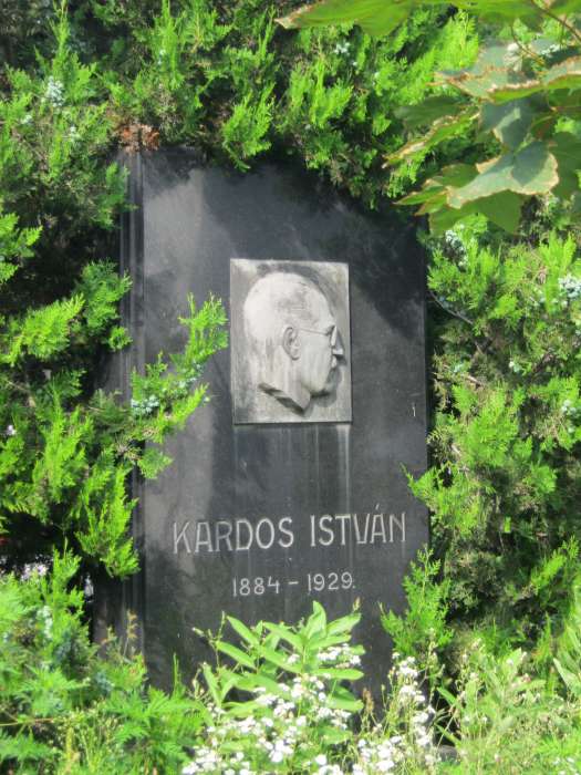 Nyíregyháza, Pazonyi tér, Északi temető: Kardos István.jpg Nyíregyháza, Pazonyi tér, Északi temető: Kardos István.jpg